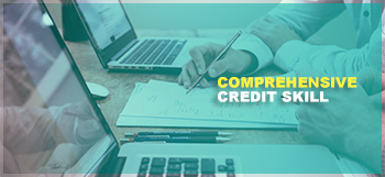 Comprehensive Credit Skill